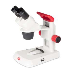 Estereomicroscopio de formación RED30S marca Motic