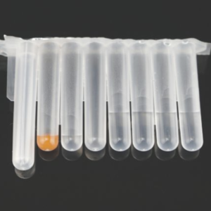 Kit de extracción de ácido nucleico (ADN / ARN) basado en perlas magnéticas（Rendimiento-12)